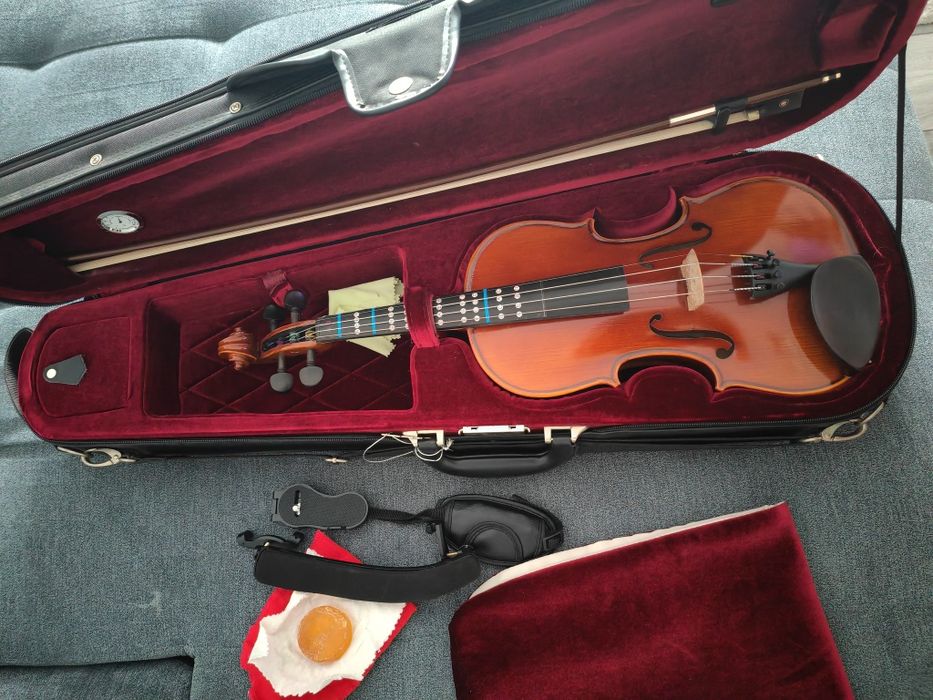 Vioara pt copii-incepator