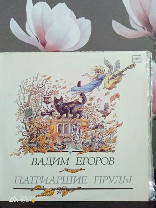 Виниловые пластинки известных исполнителей