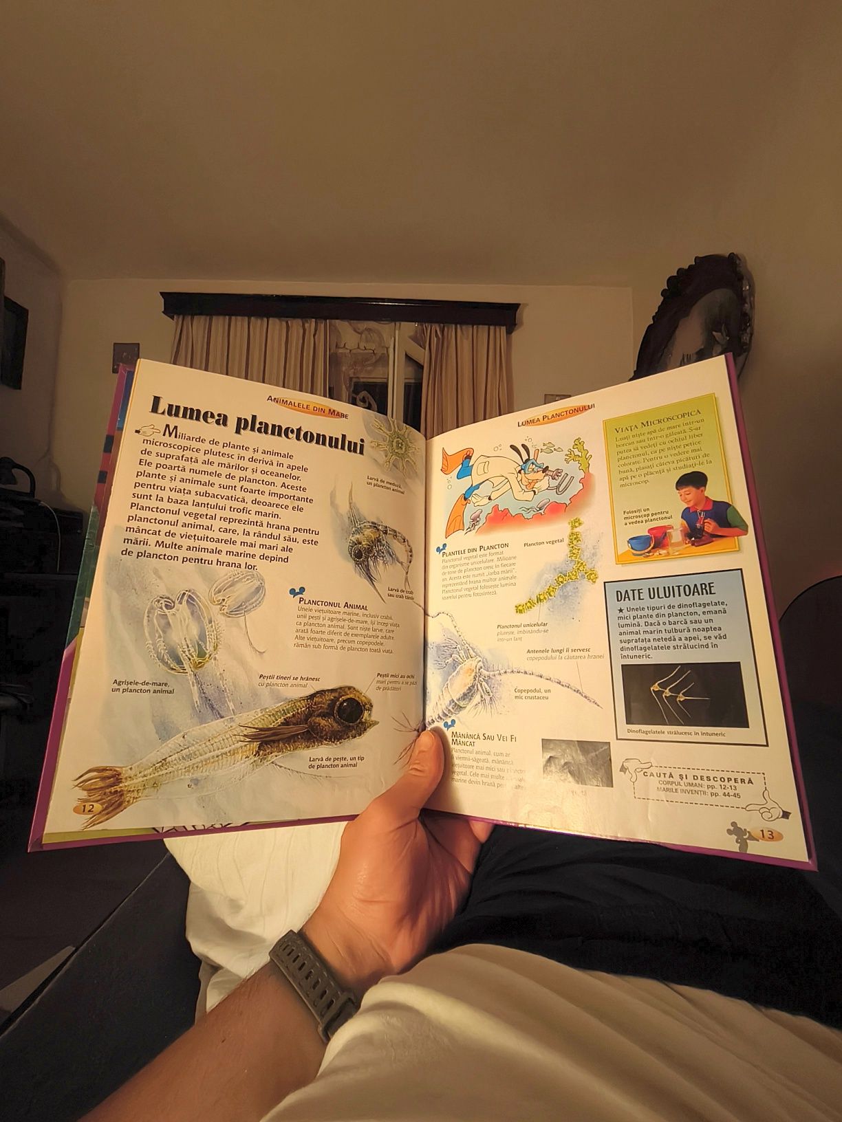 Enciclopedia Disney set complet enciclopedii Deagostini