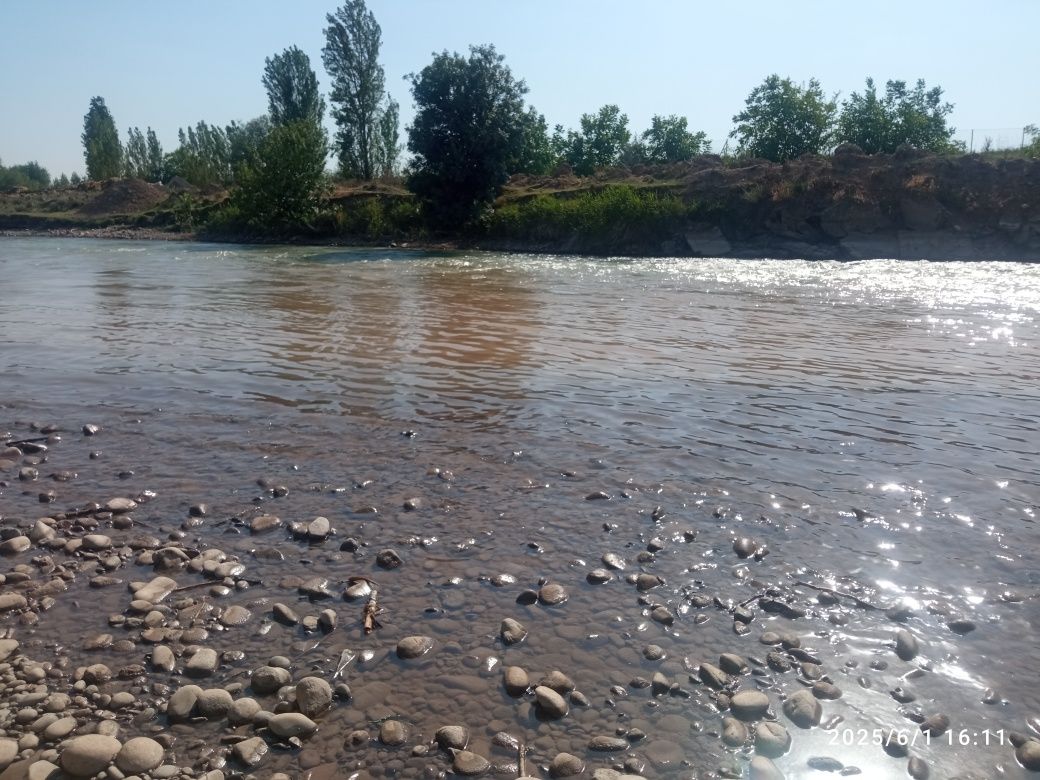 Dam olish zonasi daryo boyi