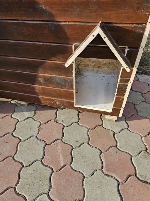 Causca caine XXL la comanda