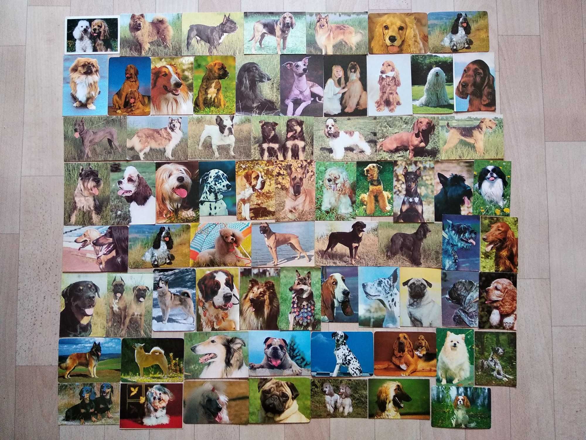 Календарики из серии "Собаки"