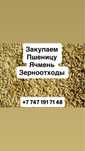 Закупаем ячмень, пшеницу, зерноотходы