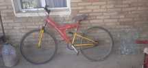 Velosiped sotilladi