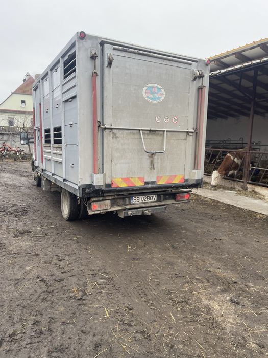 Transport animale vii