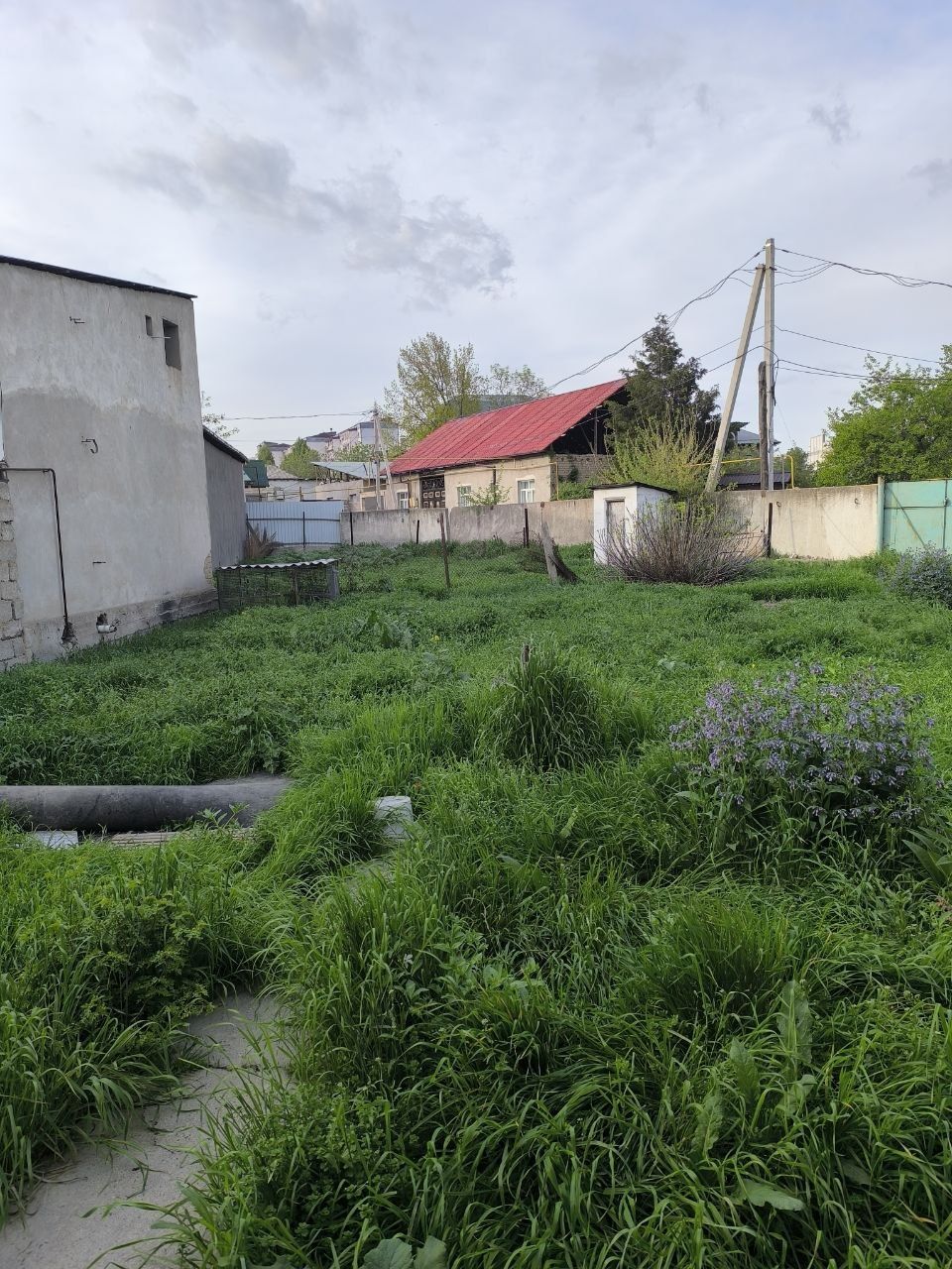 Продам земельный участок. 9 соток. Сергели. Янгихает.