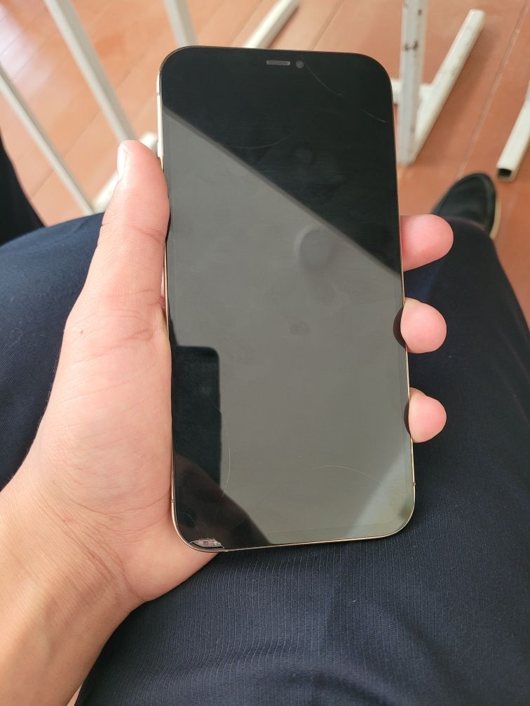 Iphone 12 pro max