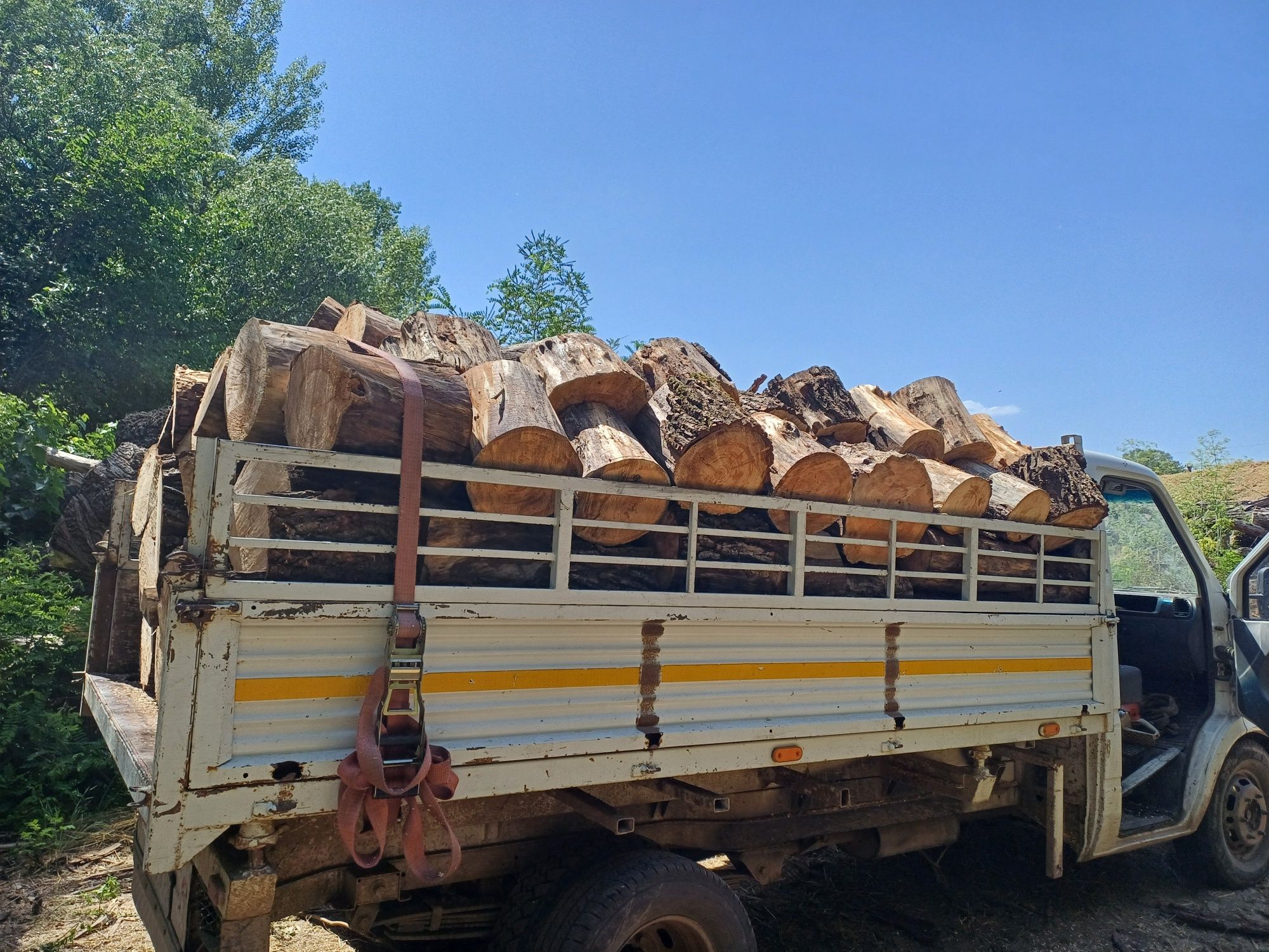 Vand Lemne de Foc de orice esenta  
Stejar 700 
Salcam 700
Plop 450
Sa