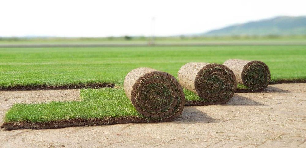 Rulouri gazon natural + sisteme de irigații