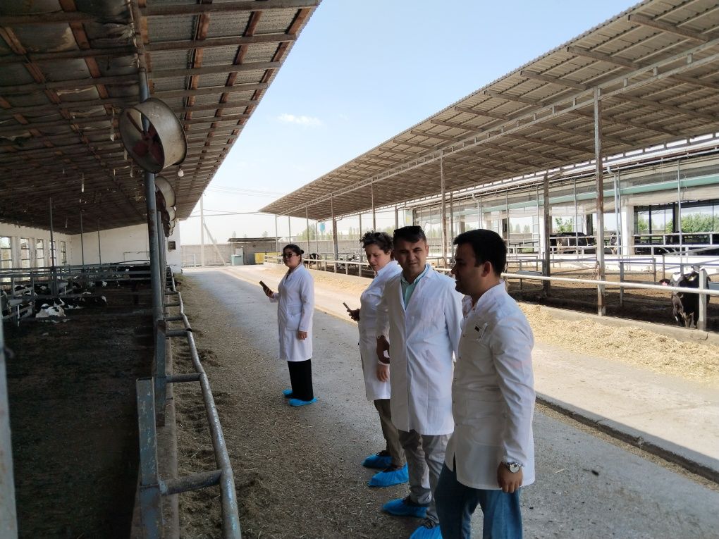 Sifatli va zamonaviy Veterinariya xizmati