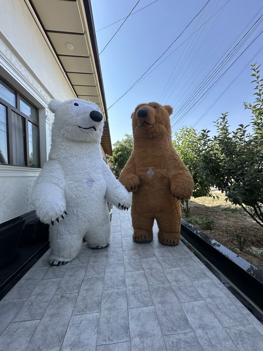 Raddom va tuglgan kun uchun ayiqlar