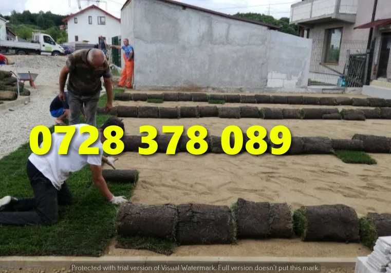 Gazon rulou - Gradina Verde vesnica Garantat ! Firma autorizata
