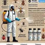 Профессиональная дезинсекция и дератизация в Ташкенте!