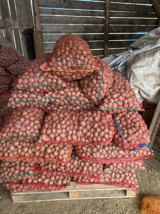 De vânzate cartofi pentru animale