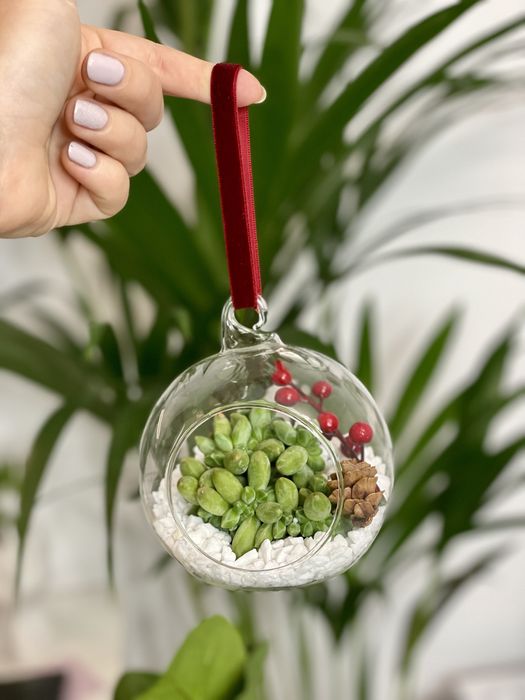 Globuri de Craciun cu flori naturale, plante suculente, handmade