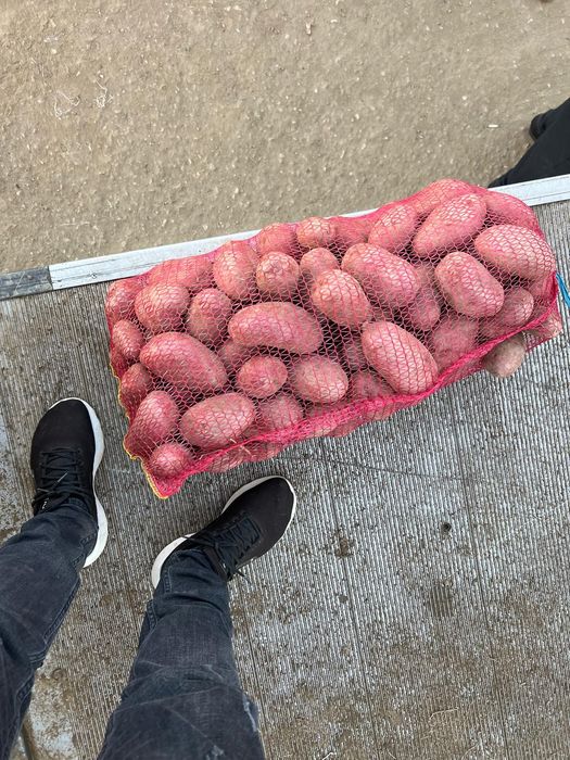 Cartofi de consum Alb si Roșu