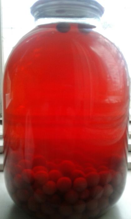 Компоты из вишни,и вишни волочной