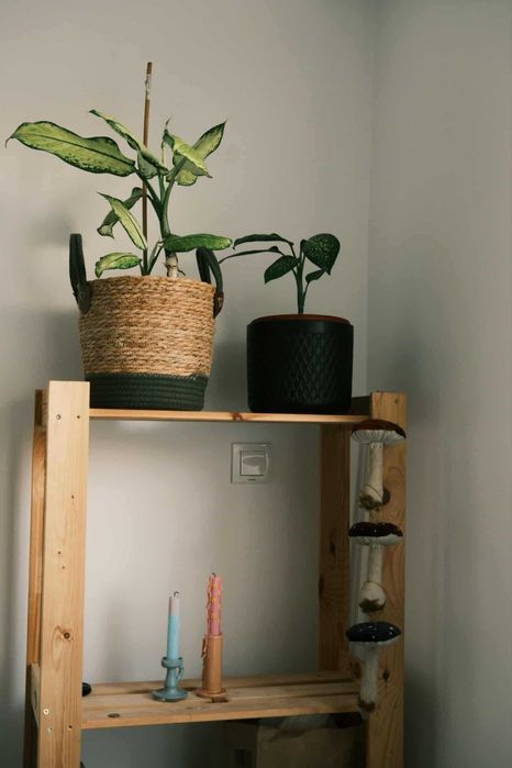 Реновиран апартамент под наем