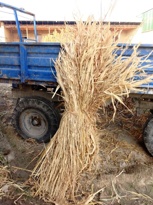 Mollar uchun sifatli barra boĝlik poya va poya preslar