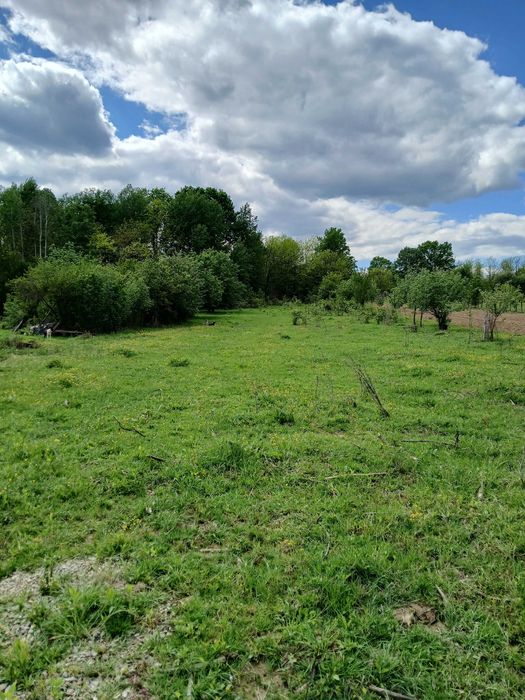 Teren intravilan Tismana Gorj 4150mp