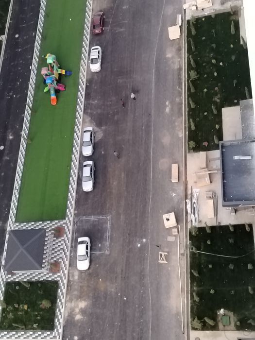 Sifatli Gazon. Narxlar optom shaxar bo'ylab