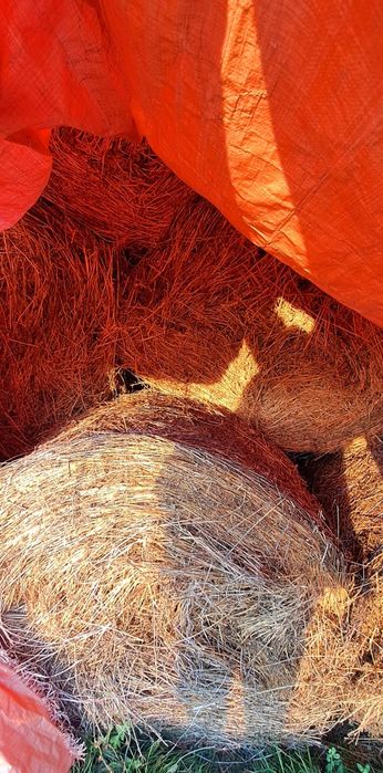 Vând baloți de fân și lucernă