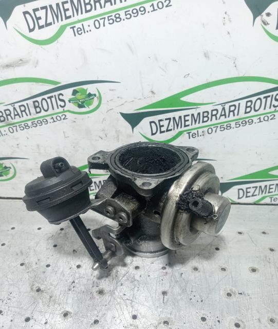 Egr Volkswagen VW Golf a 4-a generatie