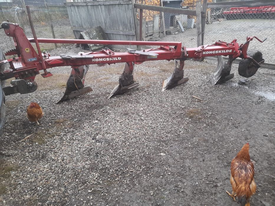 Vand  plug 3+1 cormane