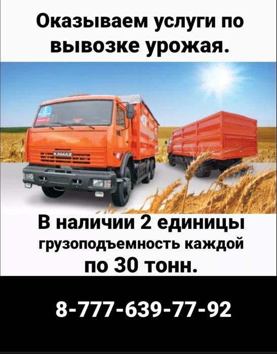 Услуги по вывозке зерна.