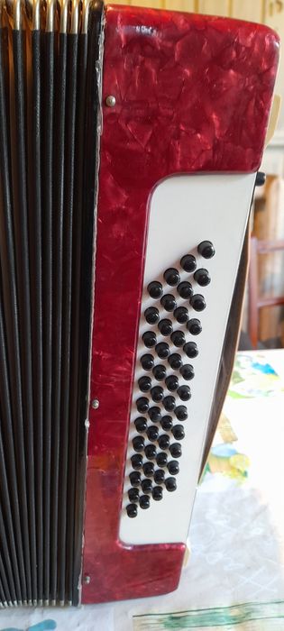 Acordeon Timis Balada 48 Bași