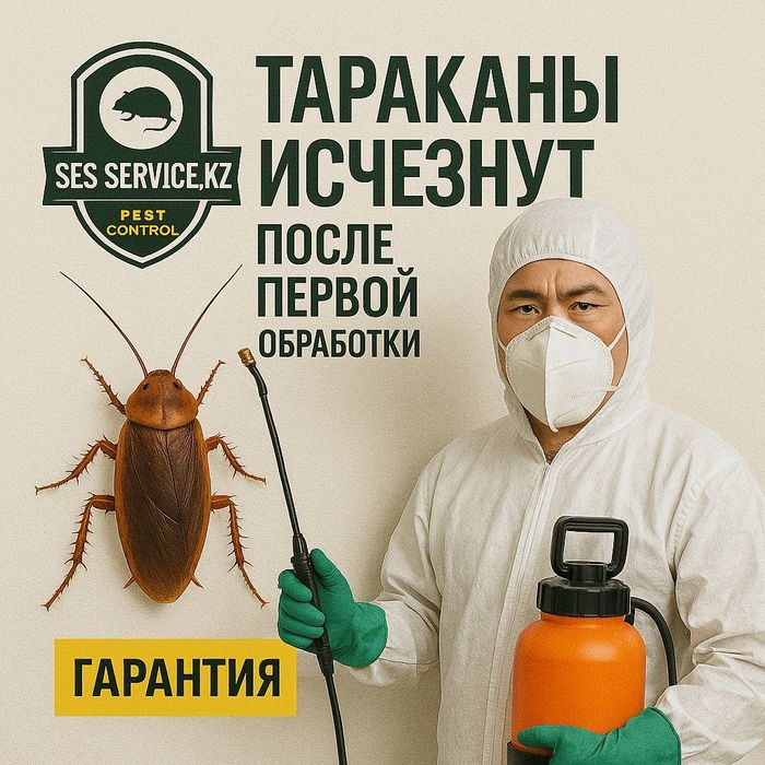 СЭС СЕРВИС — Профессиональная защита вашего бизнеса