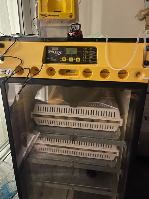 Incubator brinsea ovaeasy 2