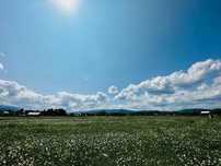 Teren deosebit la munte, intravilan!