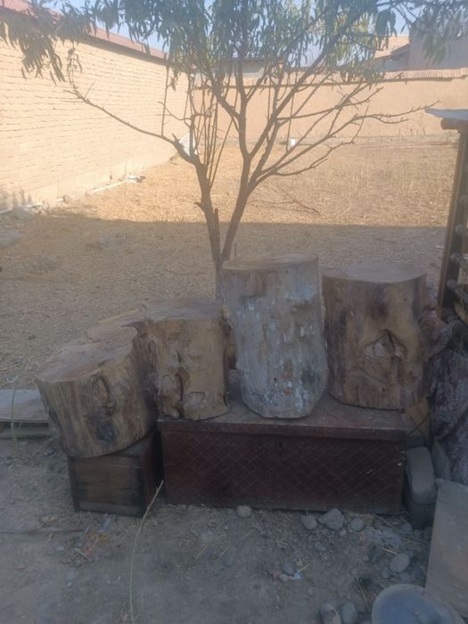 Тонка гош учун  сифатли