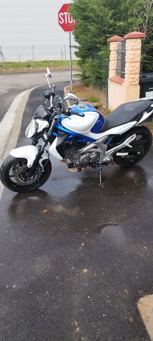 Suzuki Gladius 650