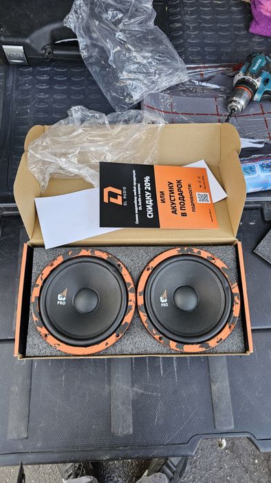 Колонки DL AUDIO Gryphon pro 165