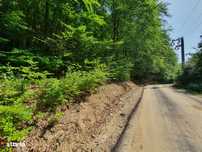 Padure zona Nehoiu  6H – 0,6 euro/mp