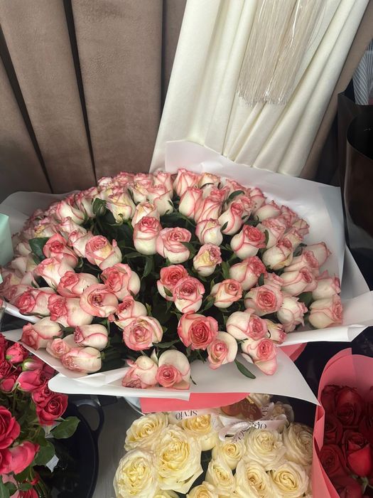 Гулдер бар арзан