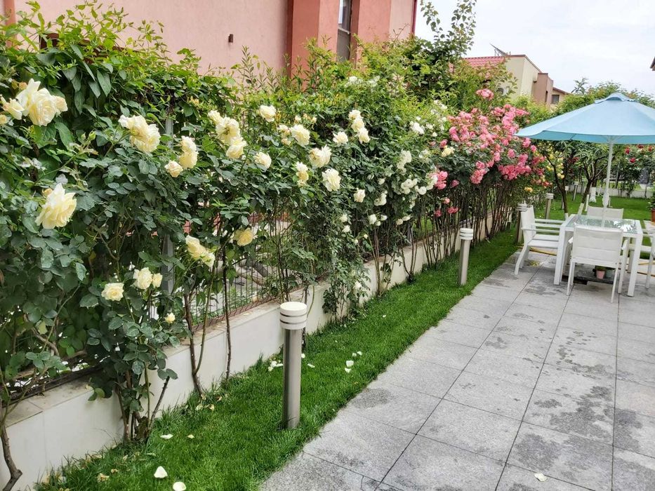 VAND GRANIT 50×50×1,5 50 lei/mp
Cantitate cca 45 mp placi intacte