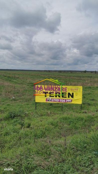 Vand teren Afumati cu suprata de 16,700 mp si deschidere la DN2