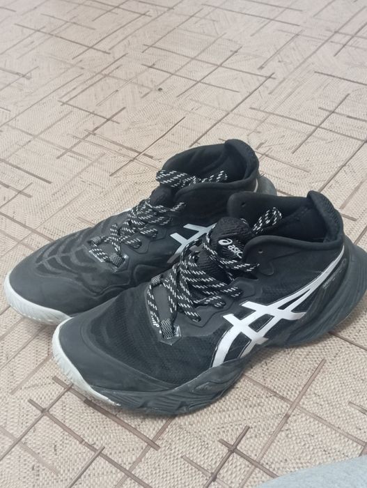 Асикс, Метарайсы, Черный Рыцарь расцветка