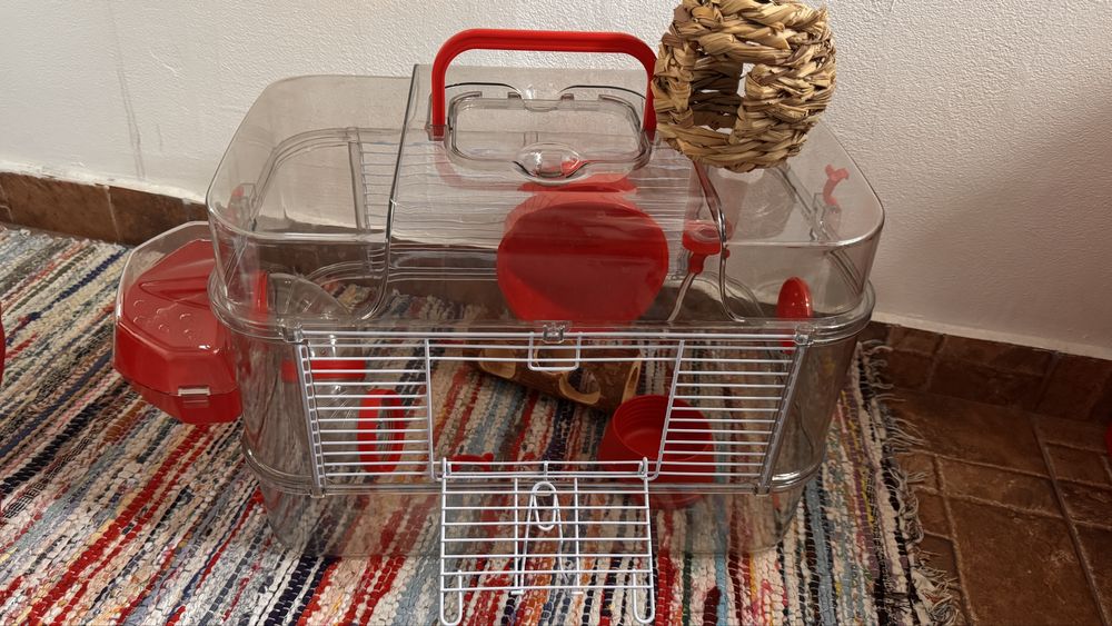 Cusca hamster Rody3