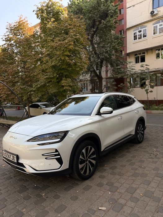 2024 byd chenpiyon  toza 605