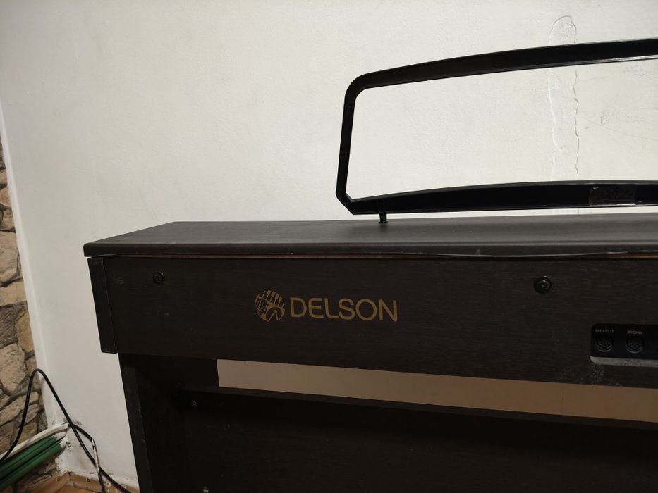Pian digital Delson NP10