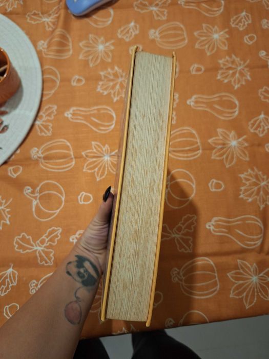 "Джими Хендрикс Стая с огледала"