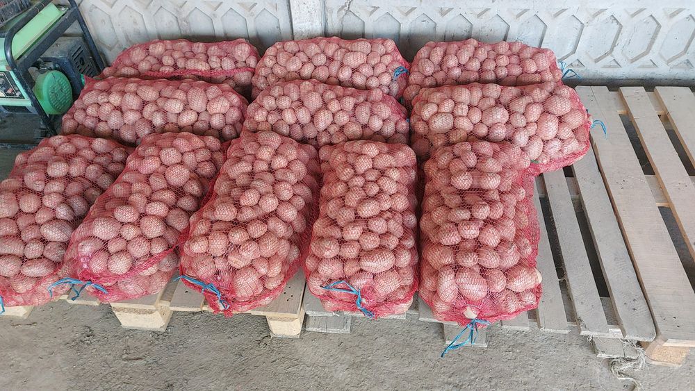 Cartofi de mâncare cu miez galben