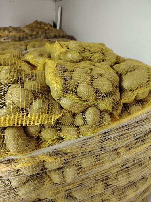 Cartofi +55 10kg Super calitate! Preturi negociabile