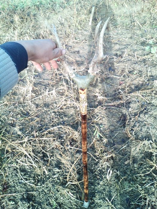 Baston ciomag bâtă toiag