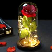 Сувенир "Роза" с подсветкой. Ночник, светильник. Роза в колбе