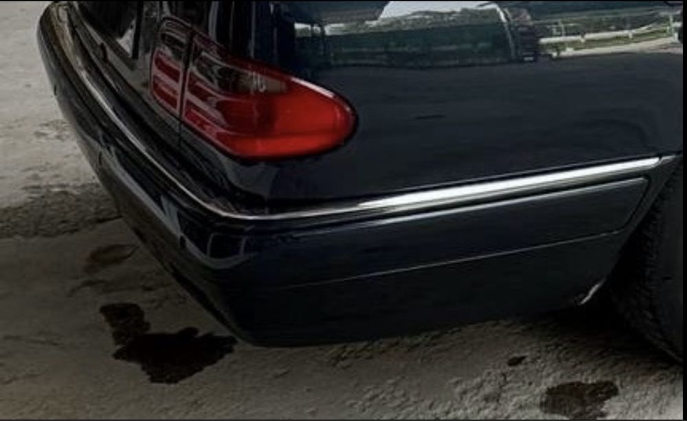 W 210 orqa bamfer dorest